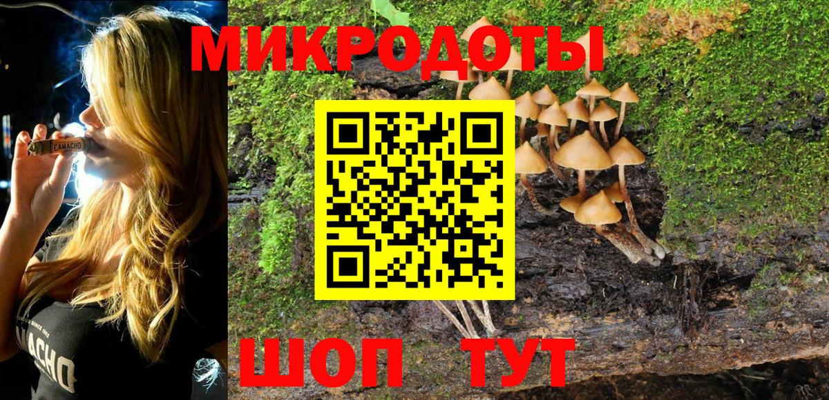 Элиста  Галлюциногенные грибы прущие грибы  Псилоцибиновые грибы ЛСД  Вход с VPN 